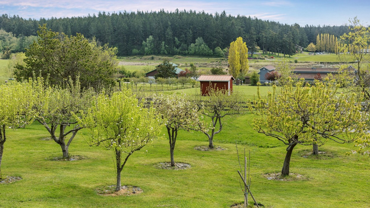 Photo of Others in Friday Harbor