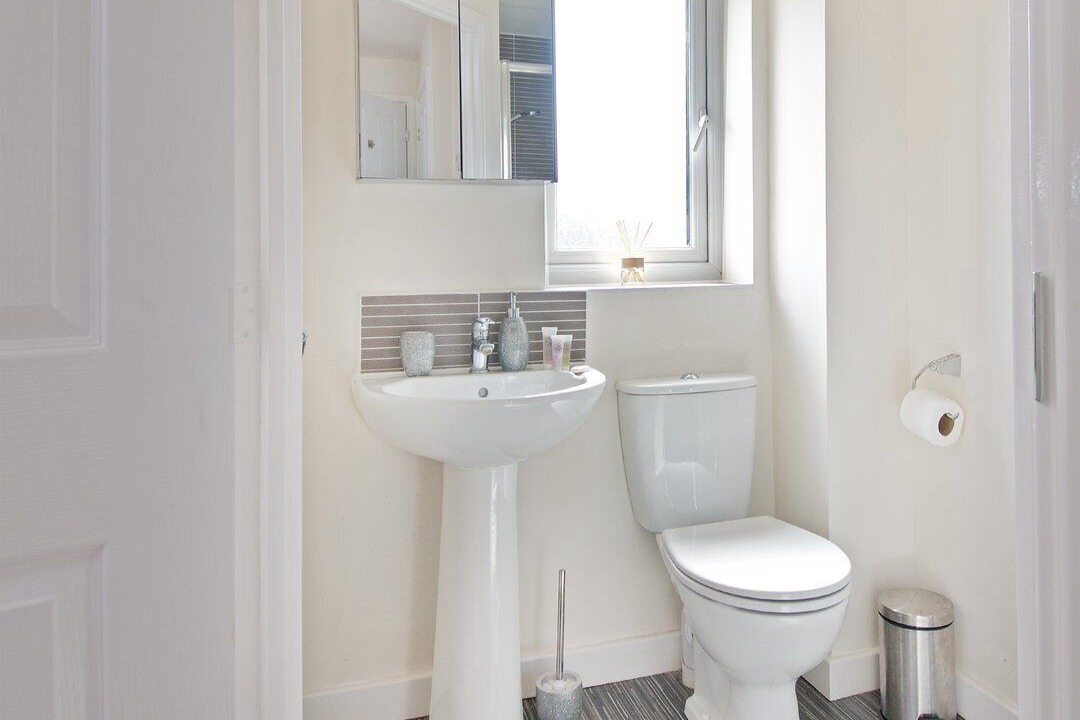 Photo of Others in Everton