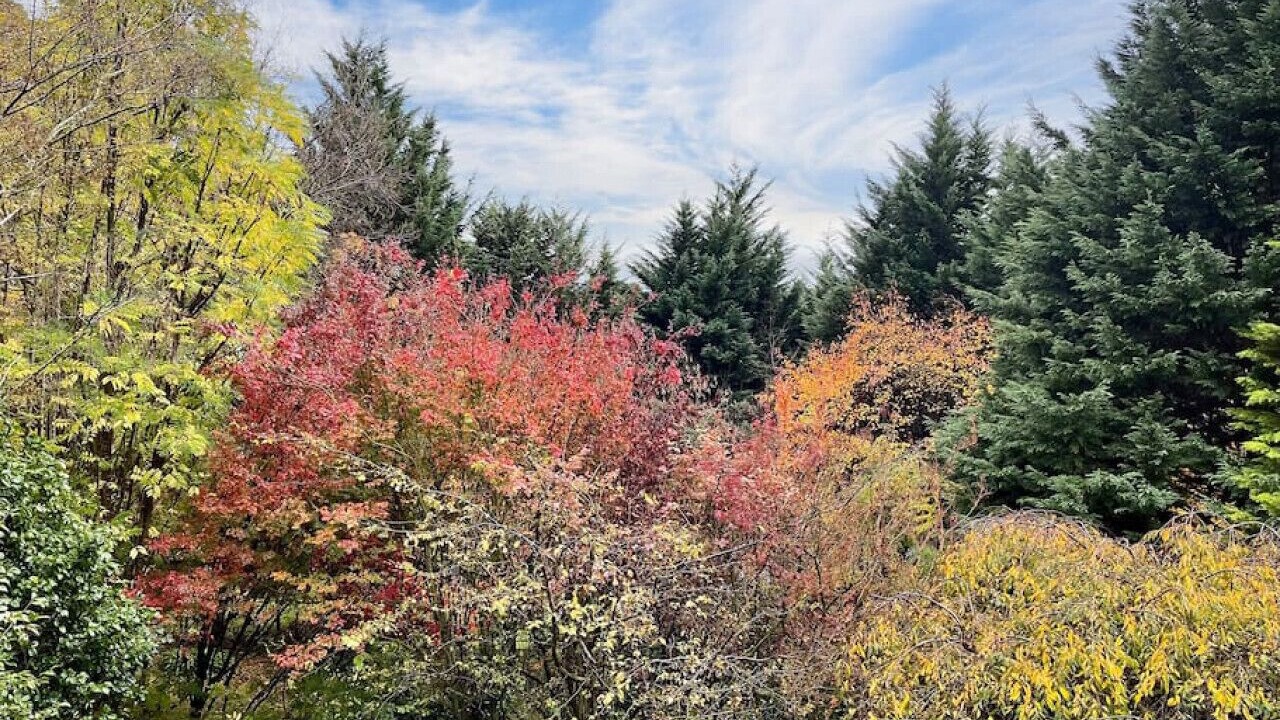 Photo of Outdoor in Kalorama