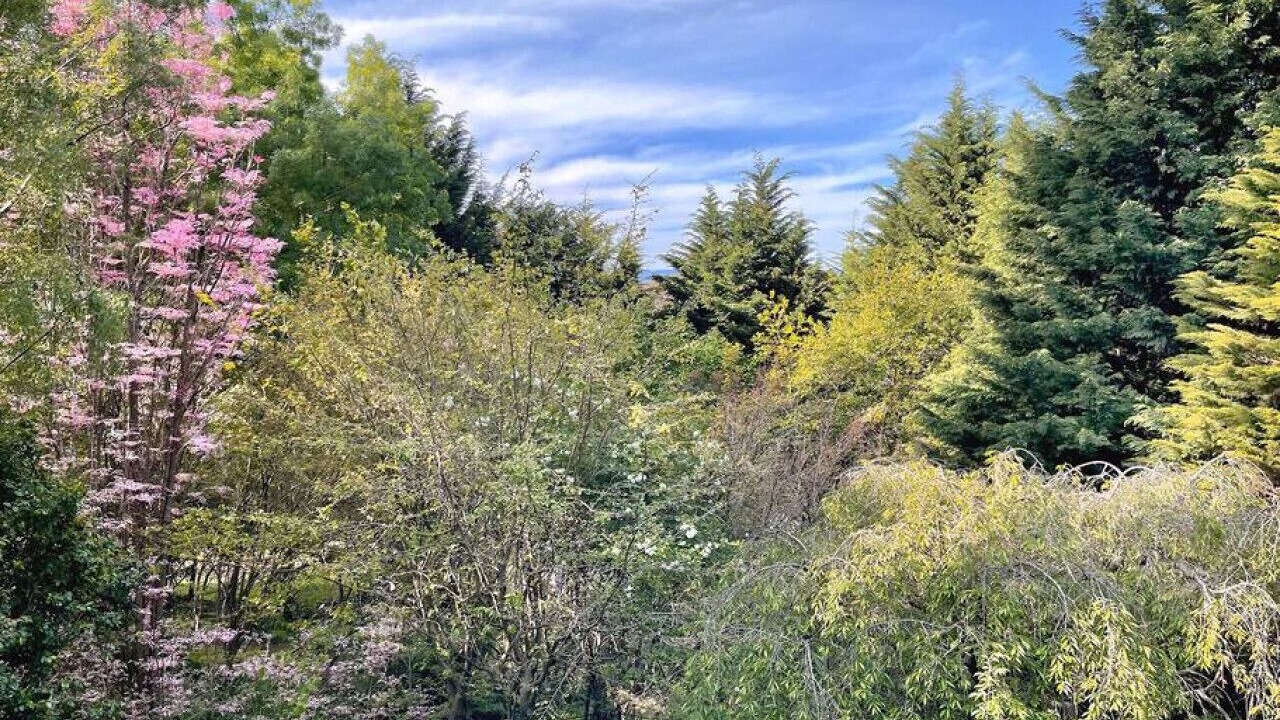 Photo of Outdoor in Kalorama