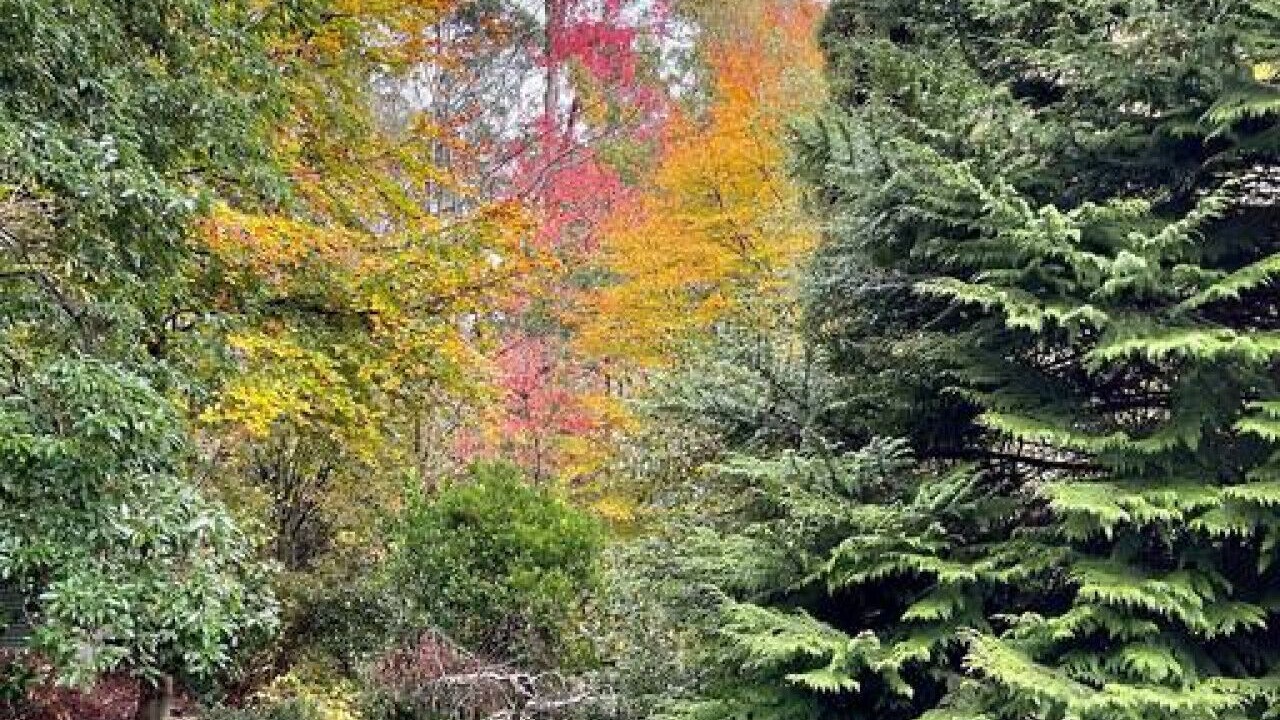 Photo of Others in Kalorama