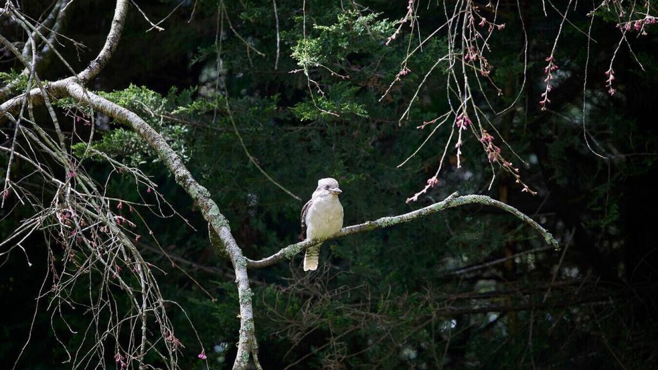 Photo of Others in Kalorama