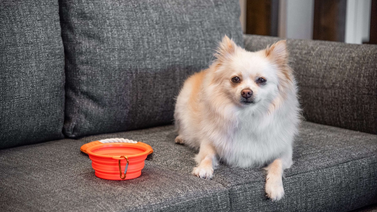 Photo of Others in Newark