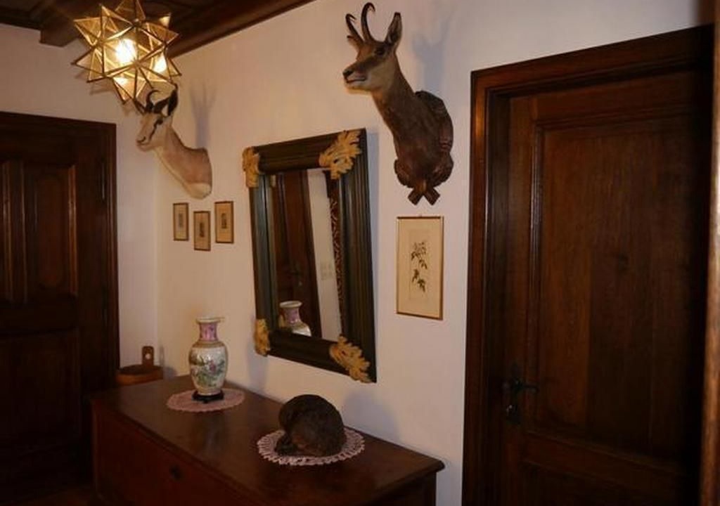 Photo of Others in Orselina