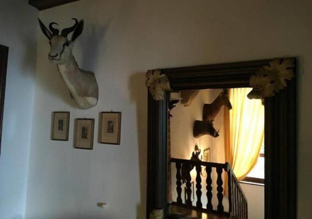 Photo of Others in Orselina