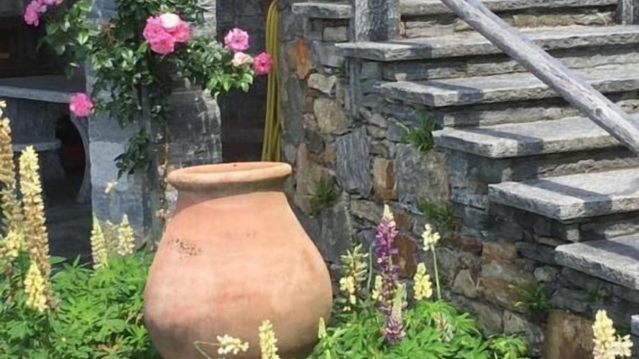 Photo of Outdoor in Orselina