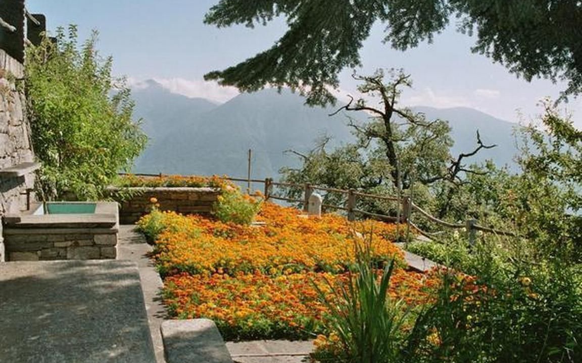 Photo of Outdoor in Orselina