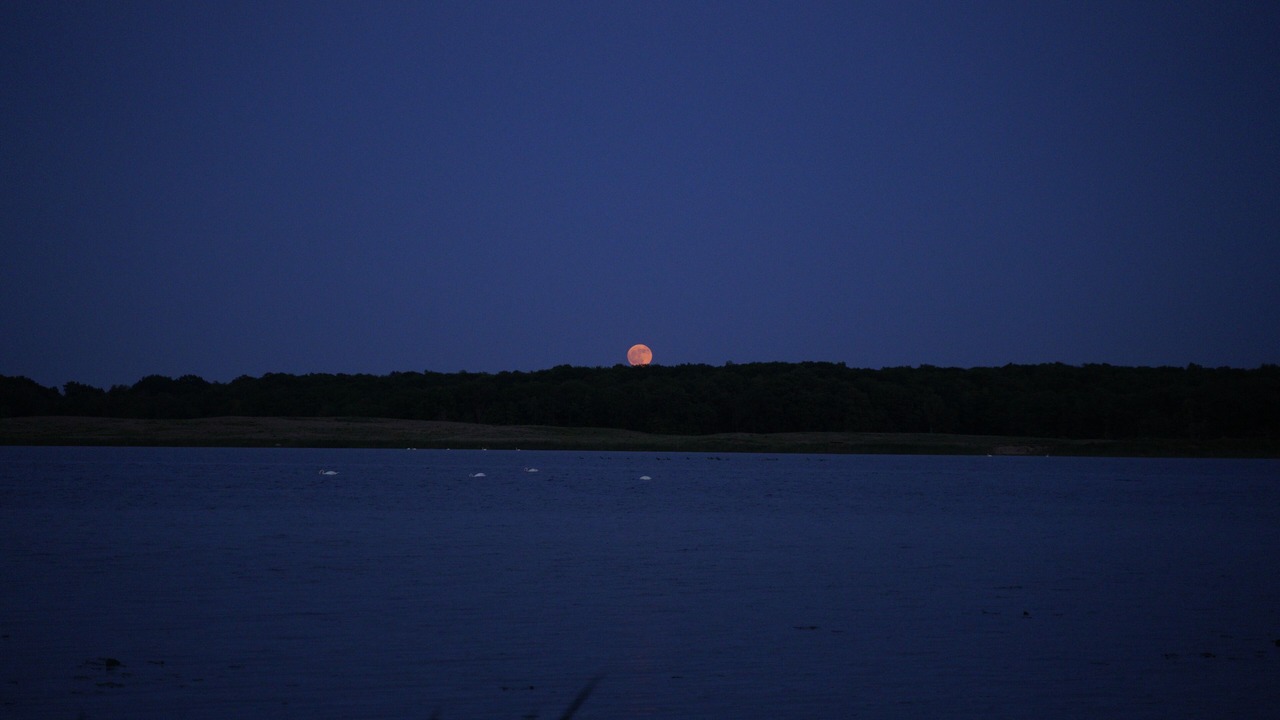 Photo of Outdoor in Howe Island
