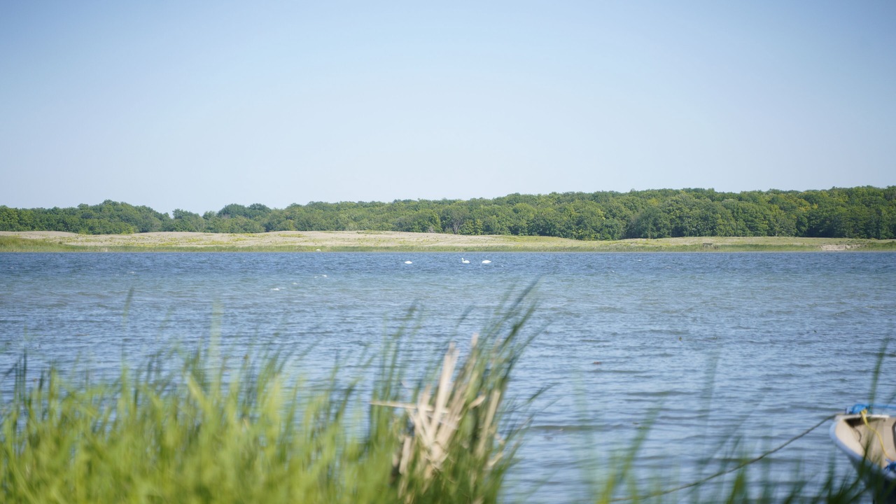 Photo of Outdoor in Howe Island