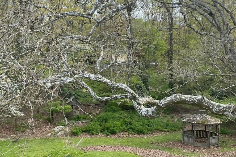 Photo of Outdoor in Wading River