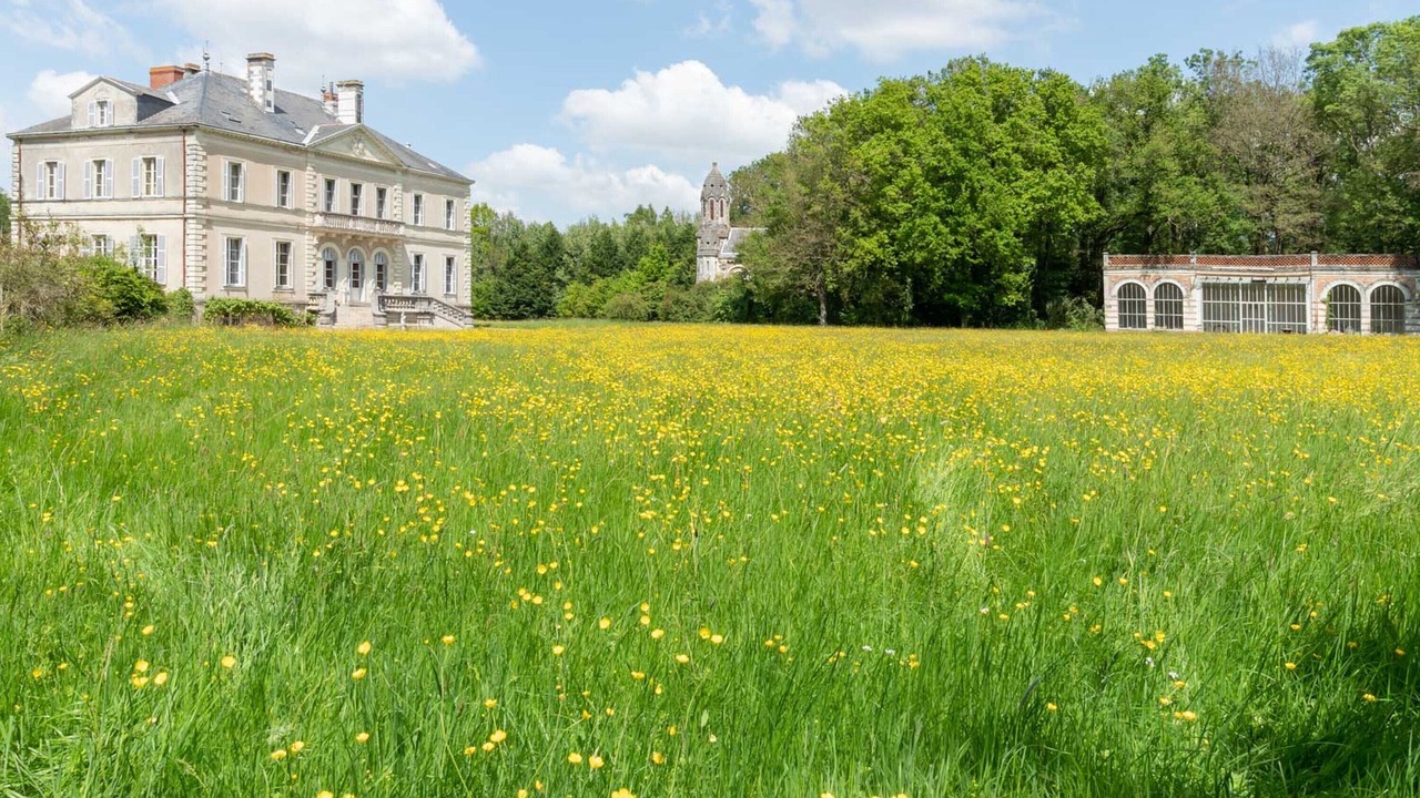 Photo of Outdoor in Bouffere