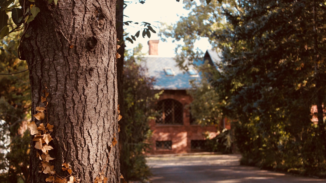 Photo of Outdoor in Prades