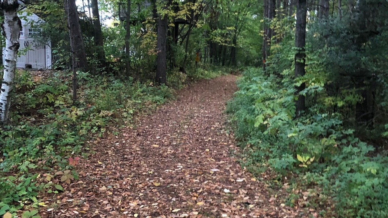 Photo of Outdoor in Phillips