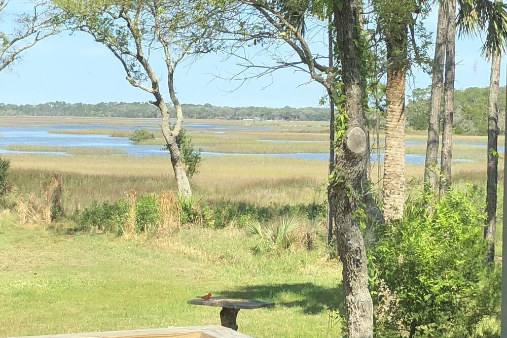 Photo of Outdoor in St. Augustine