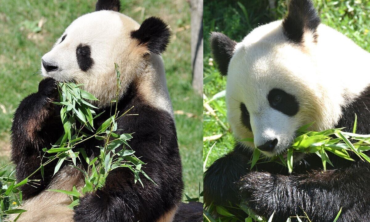 Photo of Others in Villefranche-sur-Cher