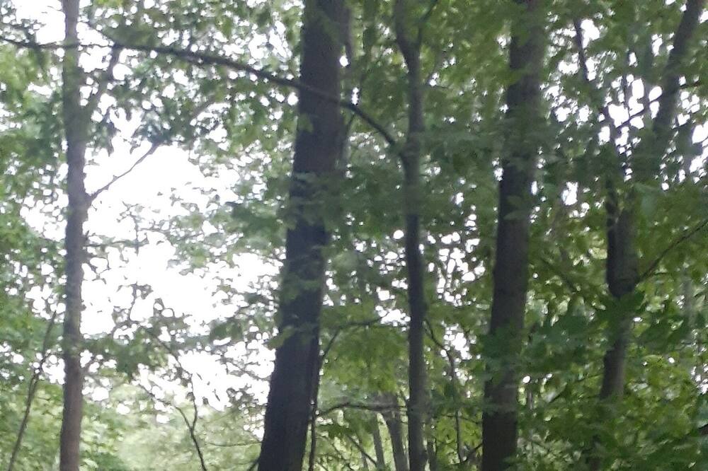 Photo of Others in Allenton