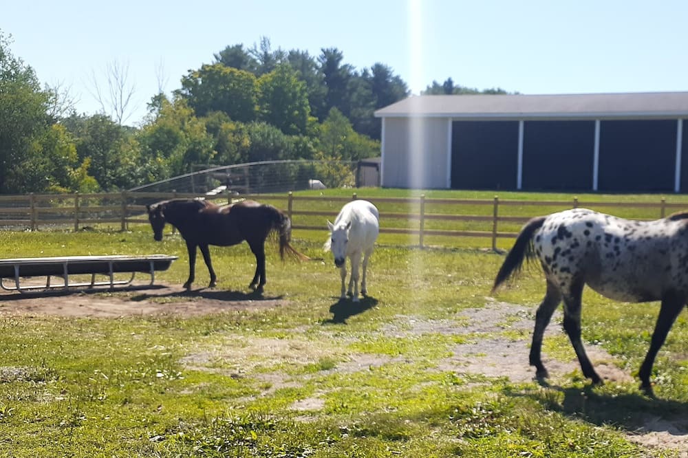 Photo of Outdoor in Allenton