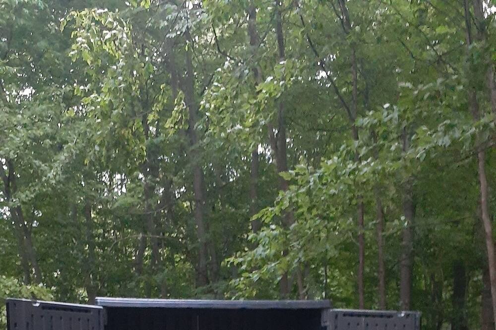 Photo of Others in Allenton