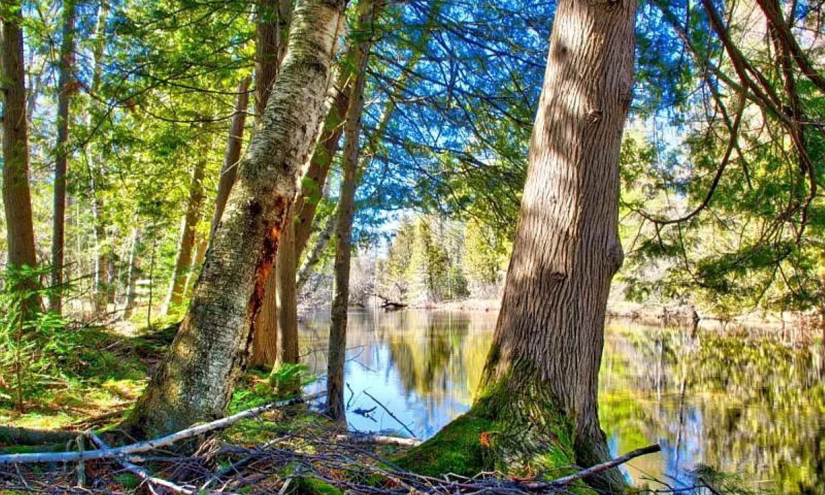 Photo of Outdoor in Briley