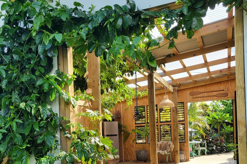 Photo of Others in Omokoroa