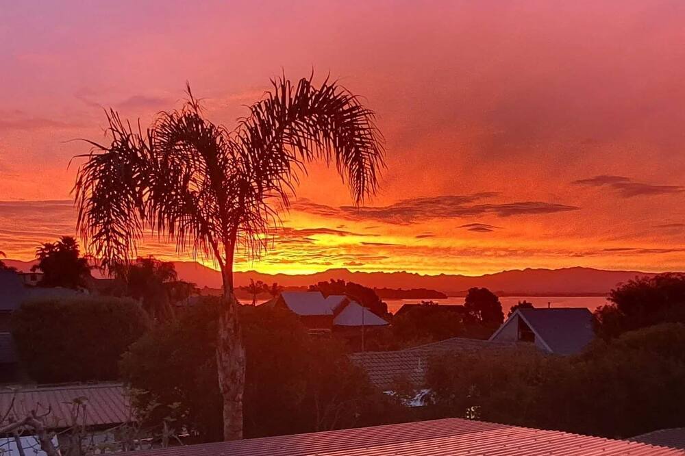 Photo of Others in Omokoroa