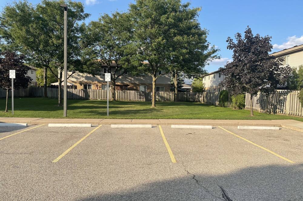 Photo of Others in Hamilton