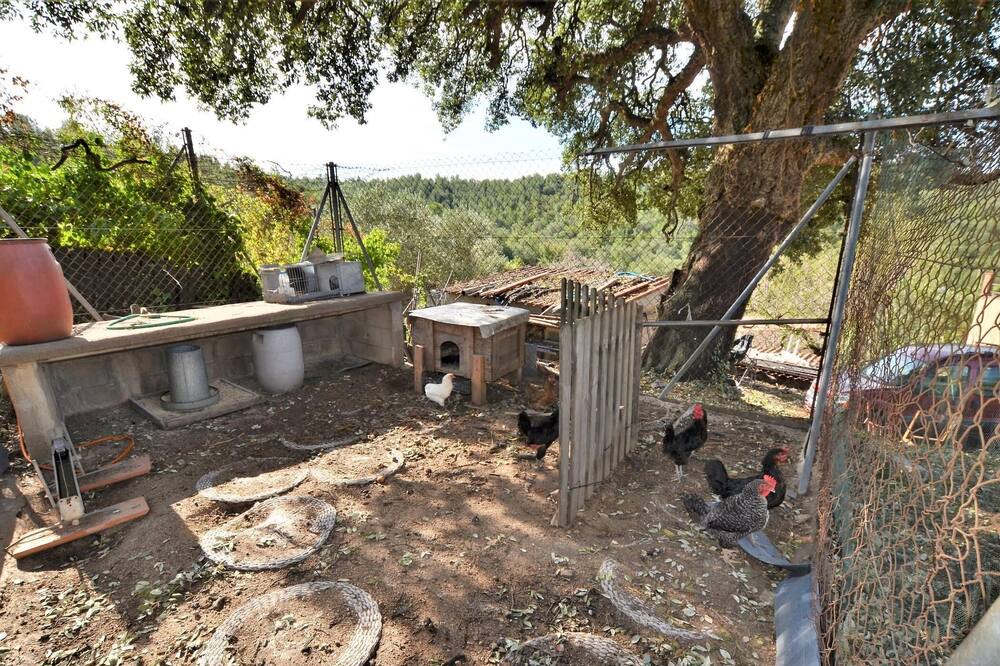 Photo of Outdoor in Macanet de la Selva