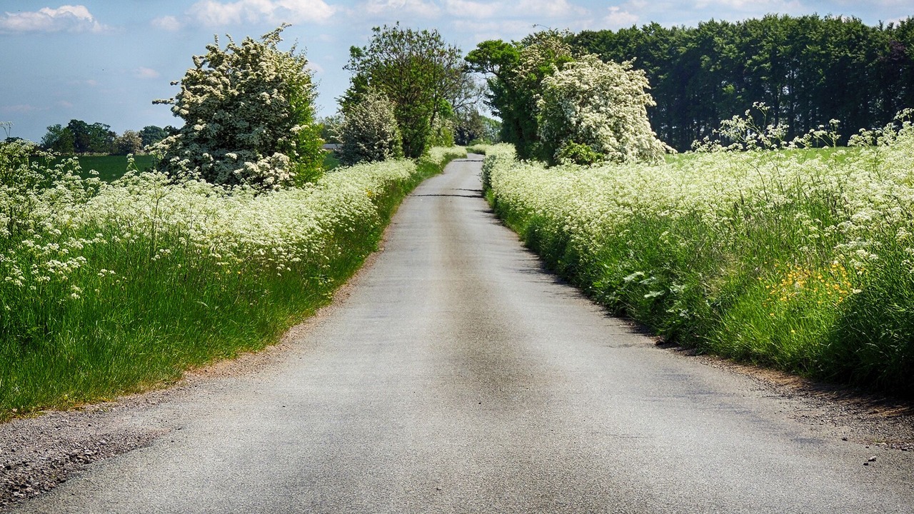 Photo of Outdoor in Longborough