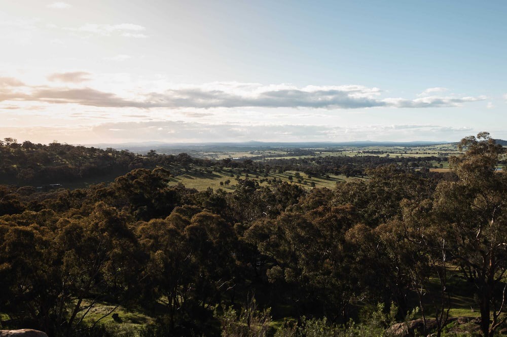 Photo of Others in Tarrengower