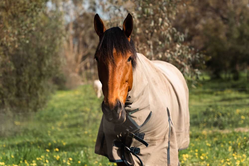 Photo of Others in Tarrengower