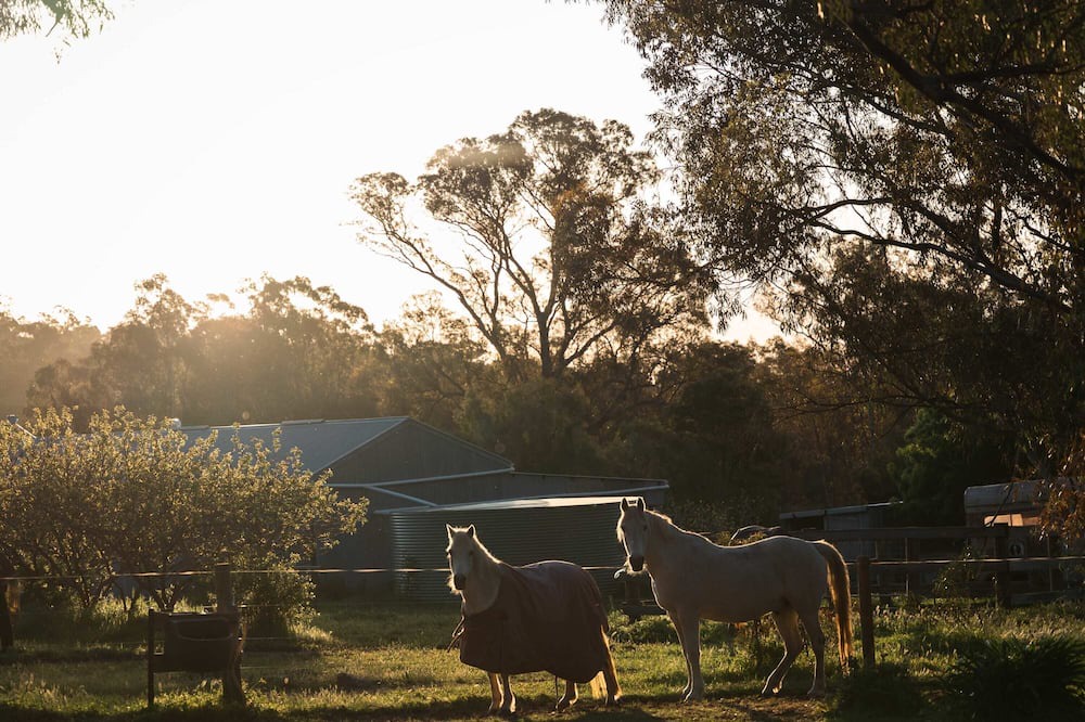 Photo of Others in Tarrengower