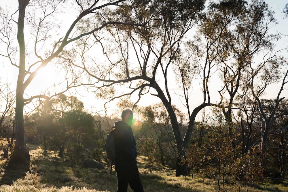 Photo of Others in Tarrengower