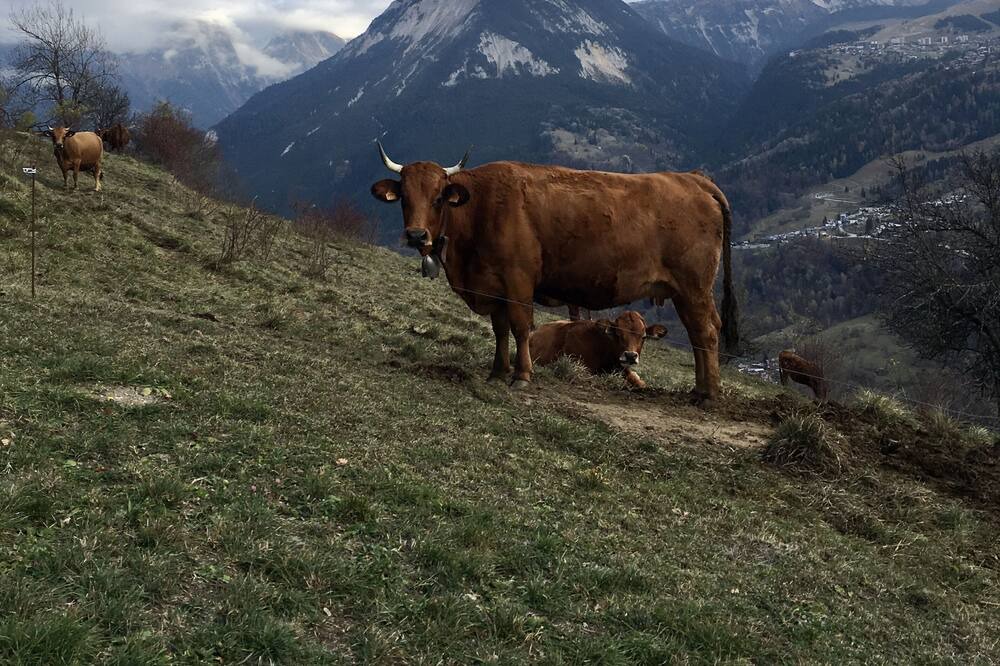 Photo of Outdoor in Bozel