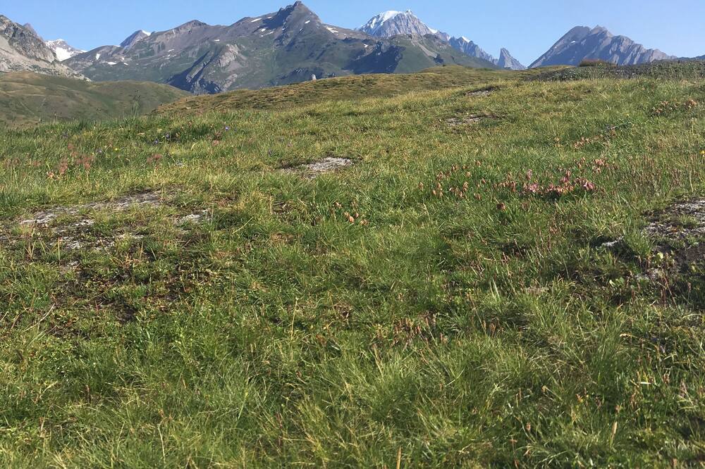 Photo of Outdoor in Bozel