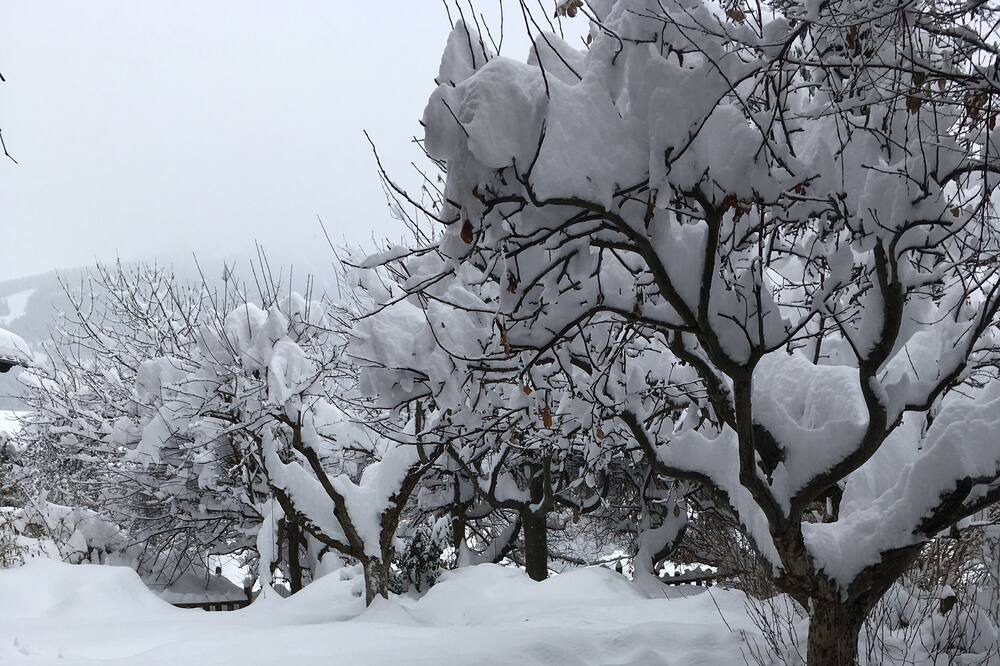 Photo of Outdoor in Bozel
