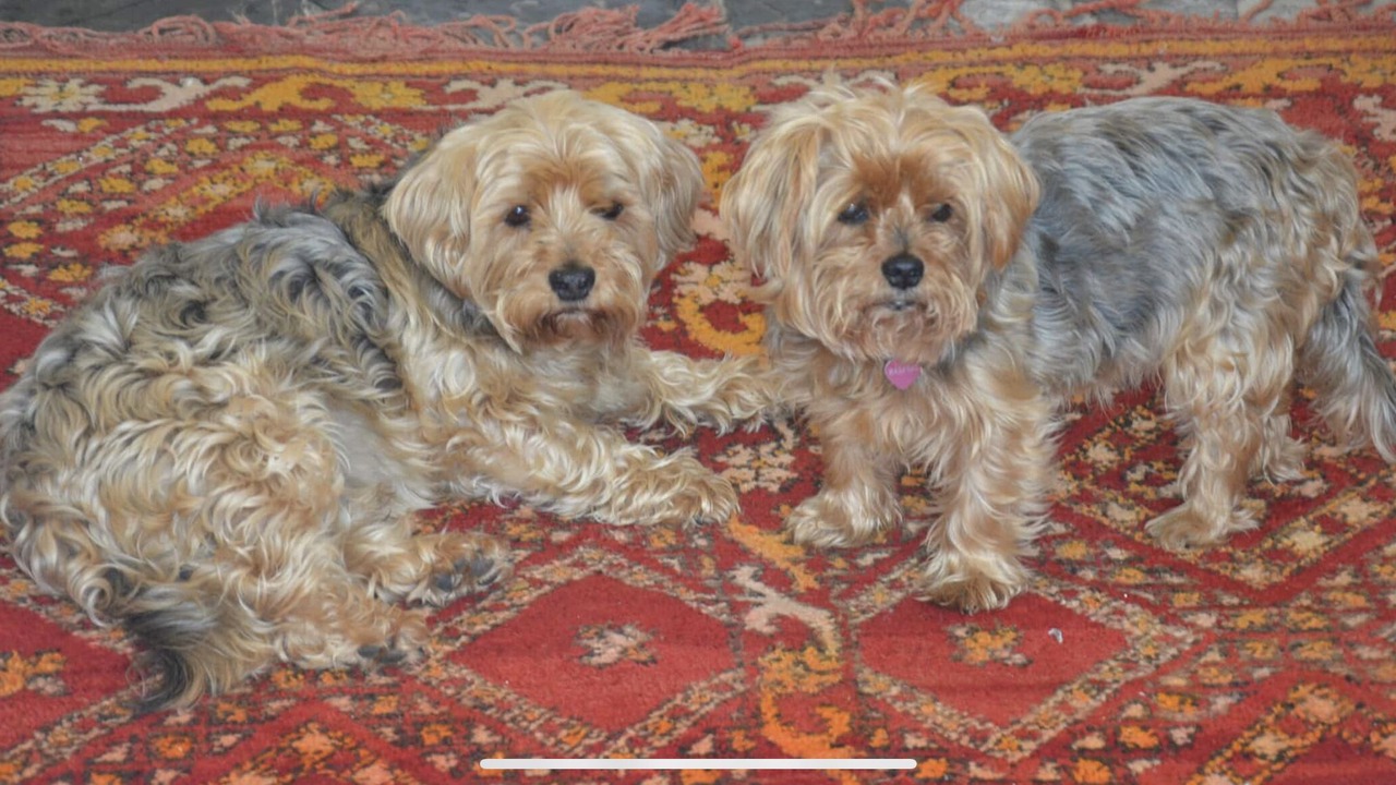 Photo of Others in Evesham