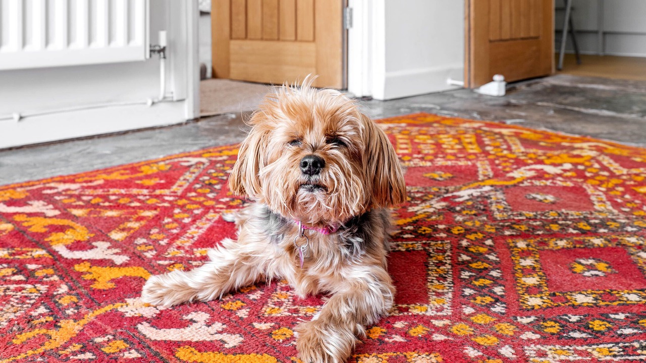 Photo of Others in Evesham