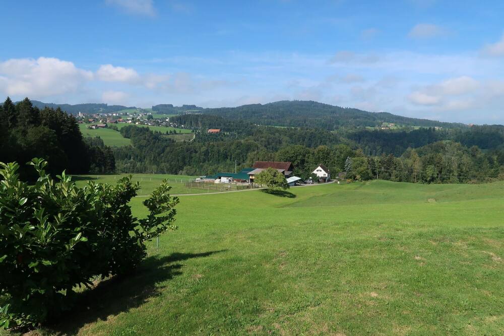 Photo of Others in Wittenbach