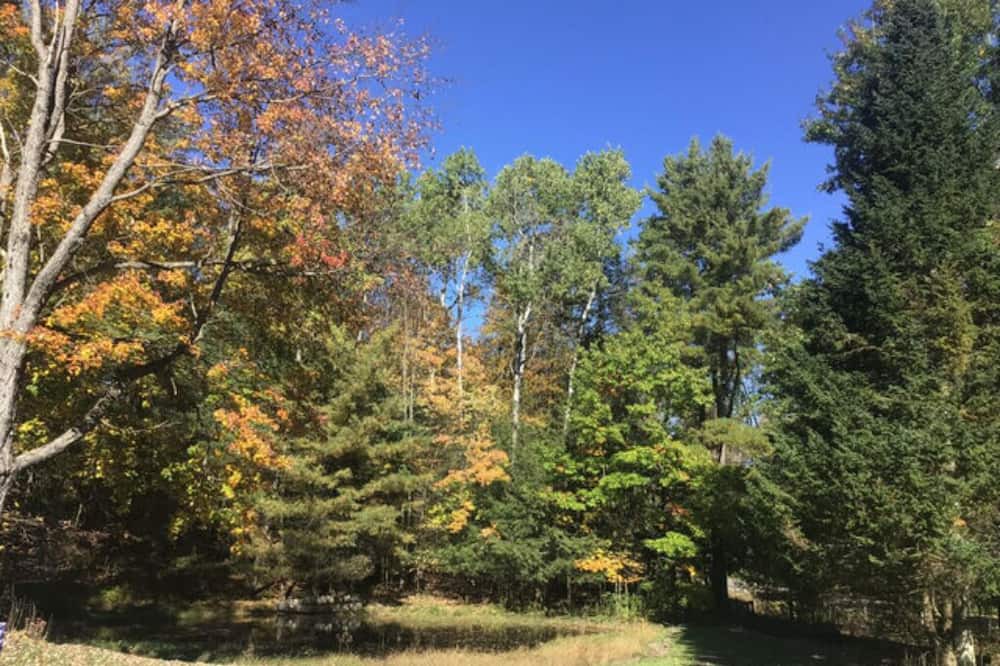 Photo of Others in Norwich