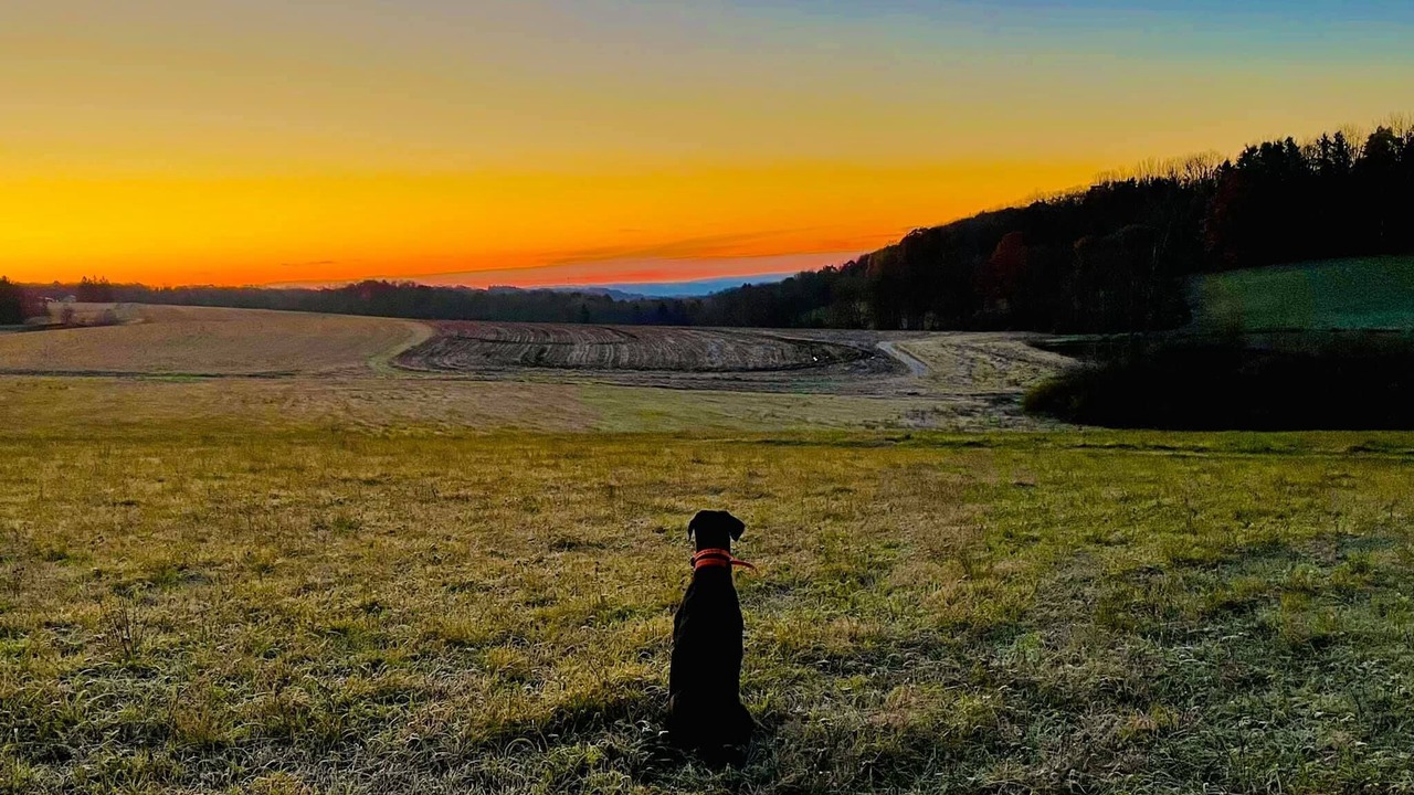 Photo of Others in Etna