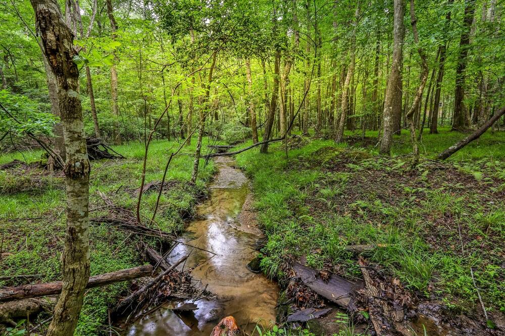 Photo of Outdoor in Big Canoe