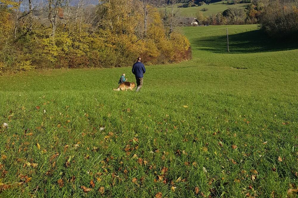 Photo of Others in Montagnole