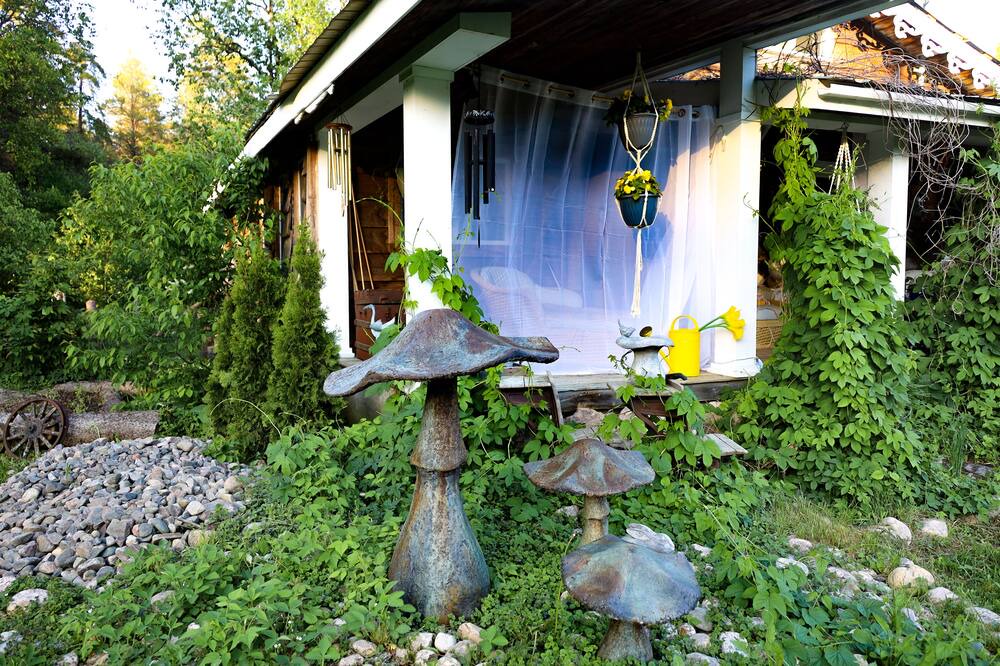 Photo of Outdoor in Joly