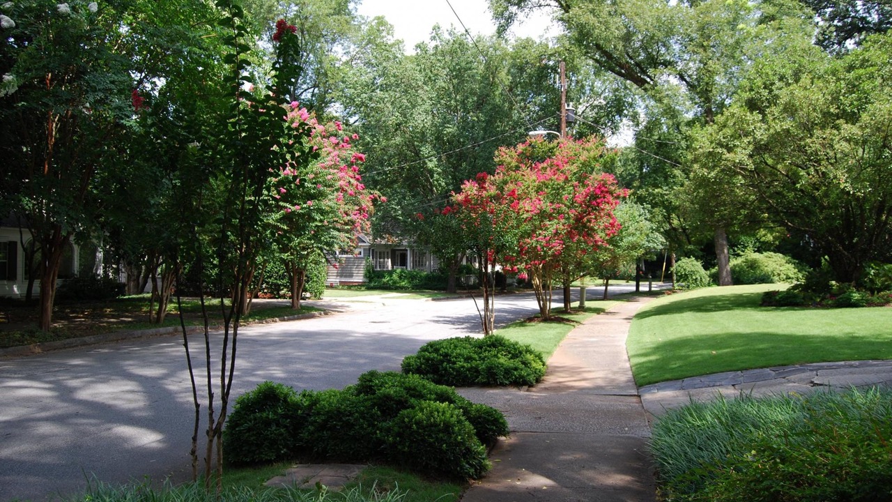 Photo of Others in Brookwood