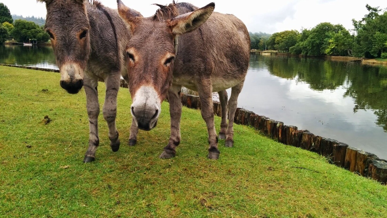 Photo of Bathroom in New Forest District