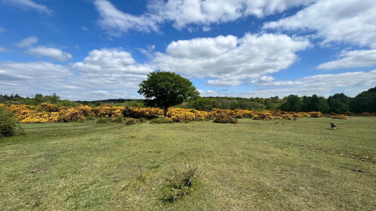 Photo of Bathroom in New Forest District