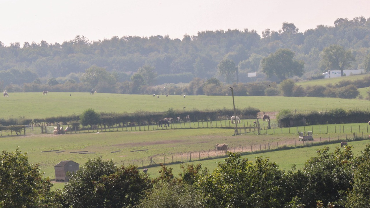 Photo of Others in Barnsley