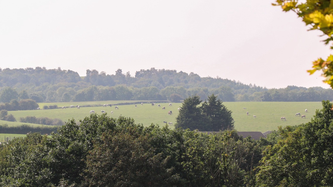 Photo of Others in Barnsley