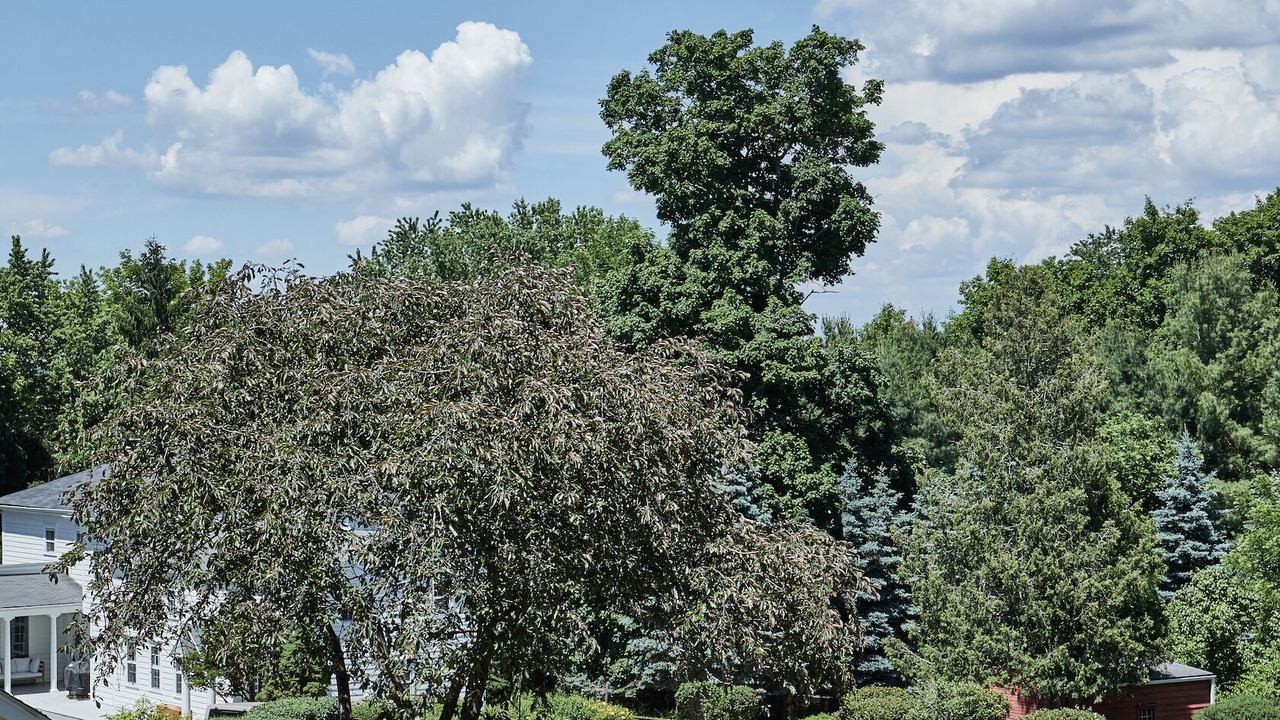 Photo of Outdoor in Valatie