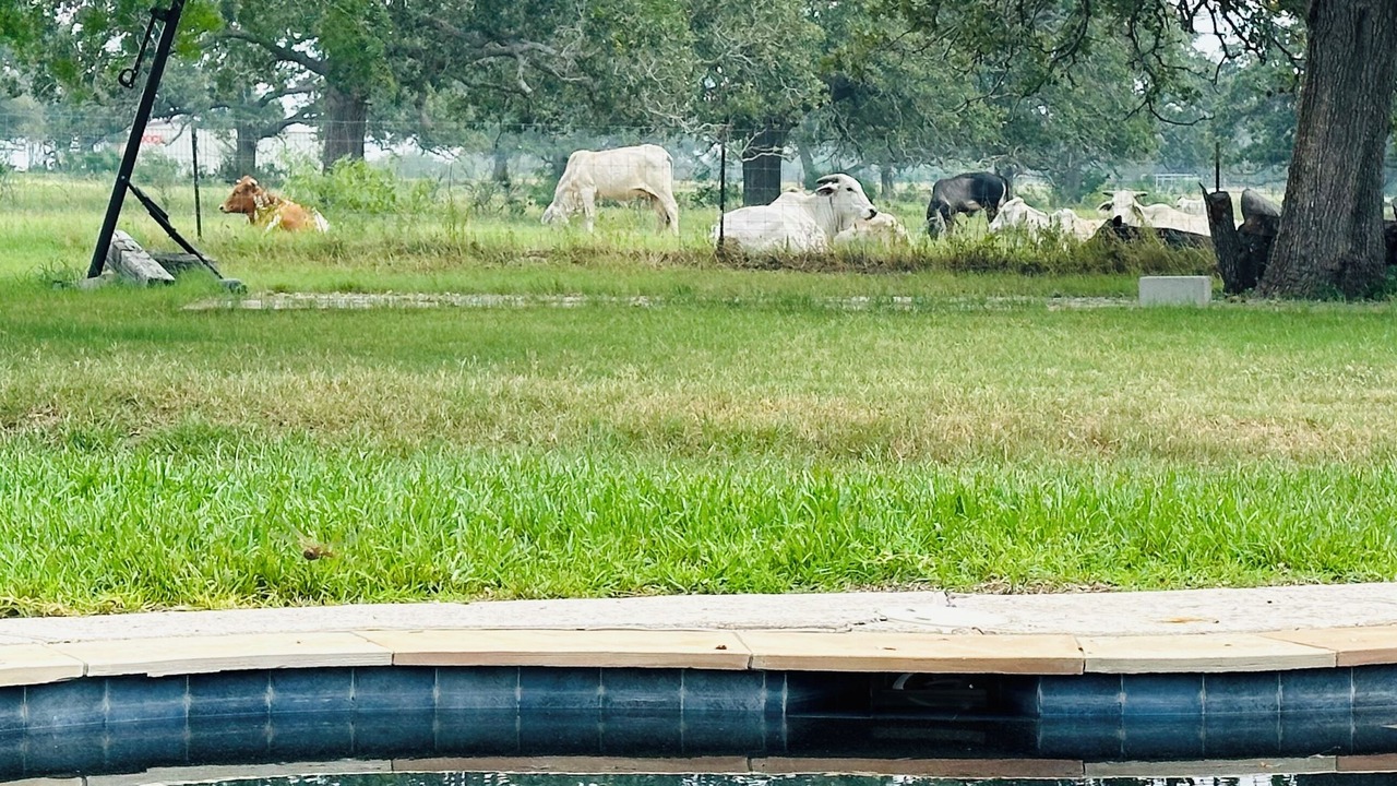 Photo of Outdoor in Goliad
